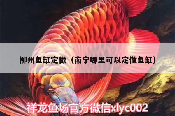 柳州魚缸定做（南寧哪里可以定做魚缸）