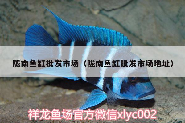 隴南魚缸批發(fā)市場（隴南魚缸批發(fā)市場地址）