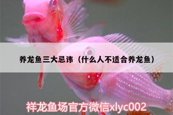 養(yǎng)龍魚三大忌諱（什么人不適合養(yǎng)龍魚）