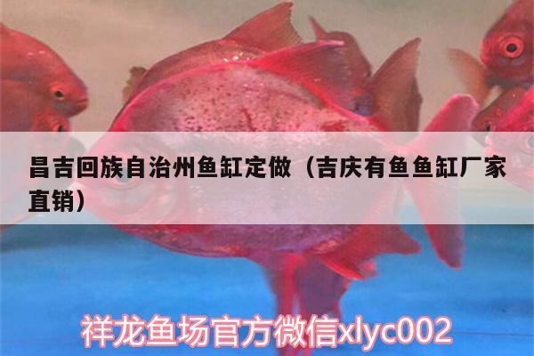 昌吉回族自治州魚缸定做（吉慶有魚魚缸廠家直銷）