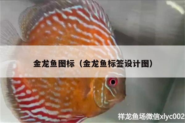 金龍魚圖標(biāo)（金龍魚標(biāo)簽設(shè)計(jì)圖）