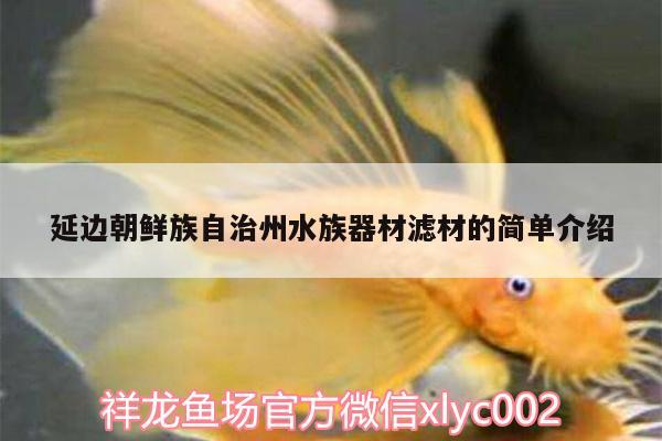 延邊朝鮮族自治州水族器材濾材的簡(jiǎn)單介紹