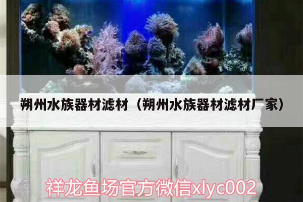 朔州水族器材濾材（朔州水族器材濾材廠家） 祥龍龍魚專用水族燈