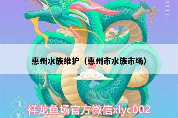 惠州水族維護(hù)（惠州市水族市場）