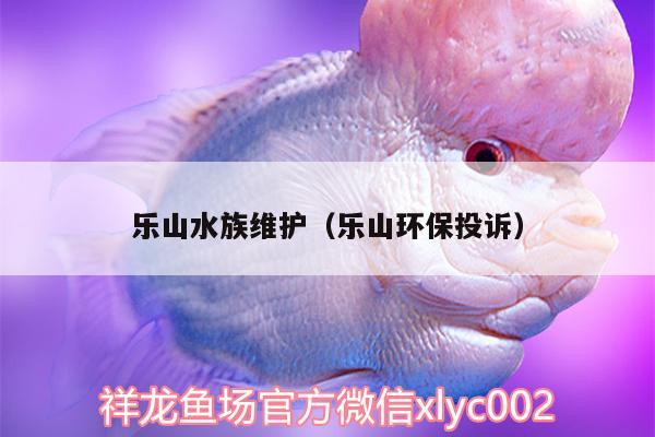 樂山水族維護（樂山環(huán)保投訴）