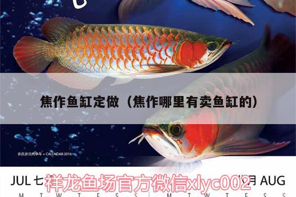 焦作魚缸定做（焦作哪里有賣魚缸的）