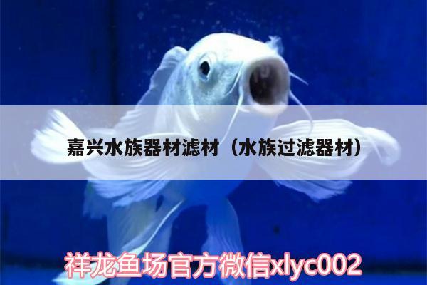 嘉興水族器材濾材（水族過(guò)濾器材）