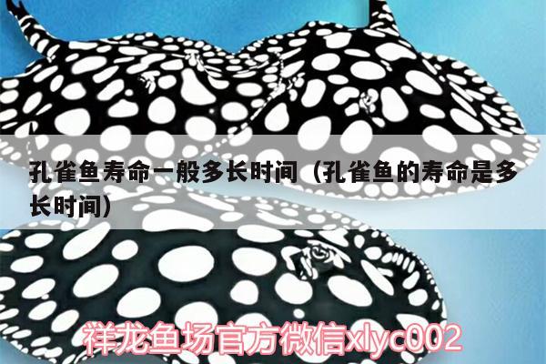 孔雀魚壽命一般多長時間（孔雀魚的壽命是多長時間）