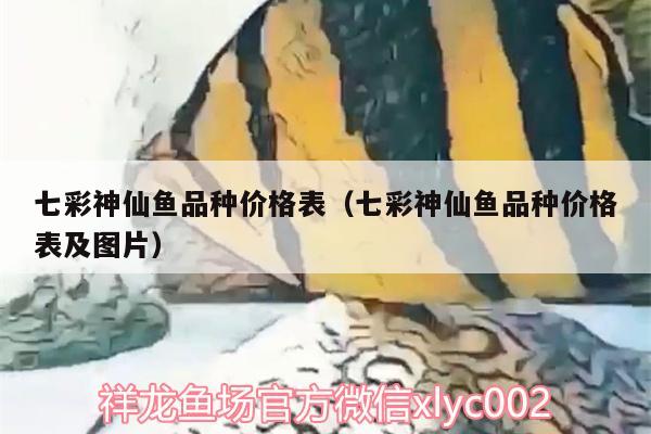 七彩神仙魚品種價格表（七彩神仙魚品種價格表及圖片） 七彩神仙魚