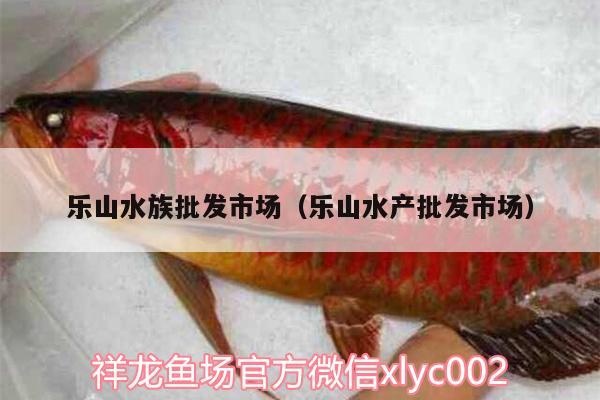 樂山水族批發(fā)市場（樂山水產(chǎn)批發(fā)市場）