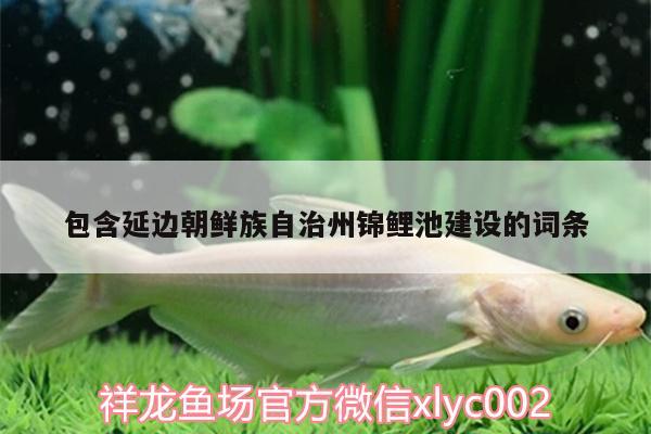 包含延邊朝鮮族自治州錦鯉池建設(shè)的詞條 祥龍水族濾材/器材