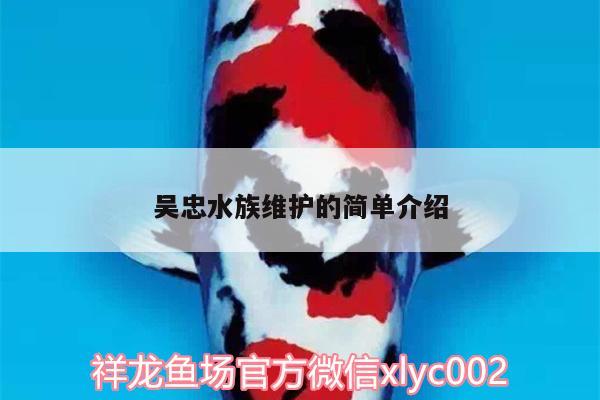 吳忠水族維護的簡單介紹 虎魚魚苗