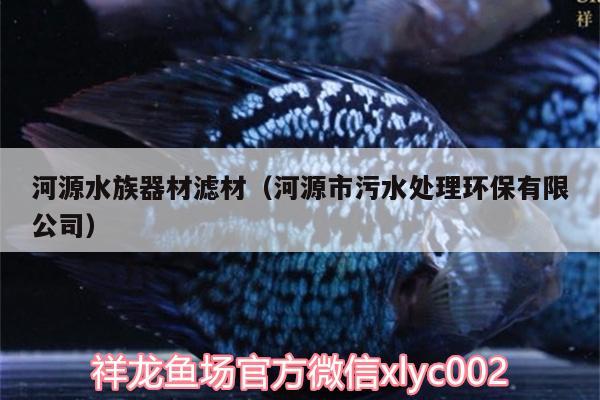 河源水族器材濾材（河源市污水處理環(huán)保有限公司） 飛鳳魚苗