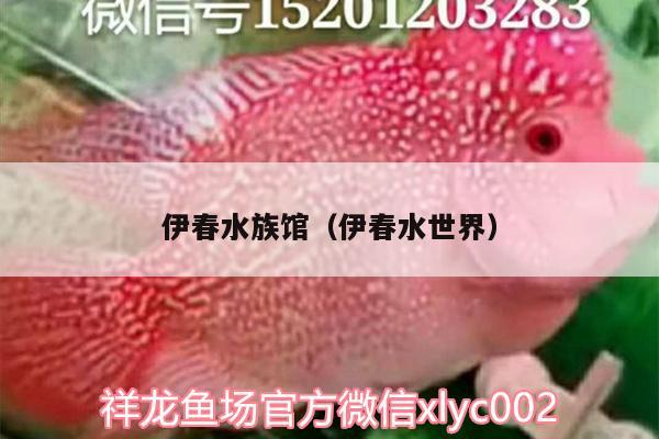 伊春水族館（伊春水世界）