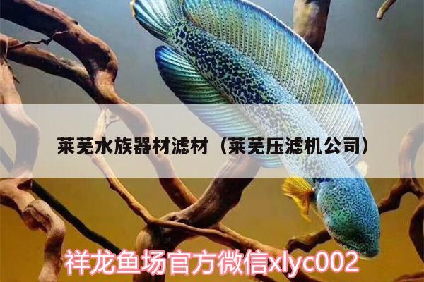 萊蕪水族器材濾材（萊蕪壓濾機(jī)公司） 夢(mèng)幻雷龍魚