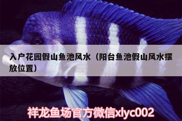 入戶花園假山魚池風(fēng)水（陽臺魚池假山風(fēng)水?dāng)[放位置）