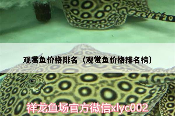 觀賞魚(yú)價(jià)格排名（觀賞魚(yú)價(jià)格排名榜） 蝴蝶鯉魚(yú)苗