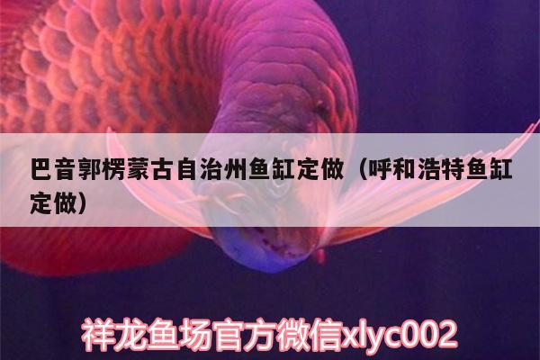 巴音郭楞蒙古自治州魚缸定做（呼和浩特魚缸定做）