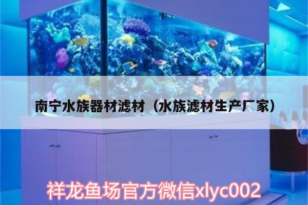 南寧水族器材濾材（水族濾材生產(chǎn)廠家） 白子銀龍魚苗