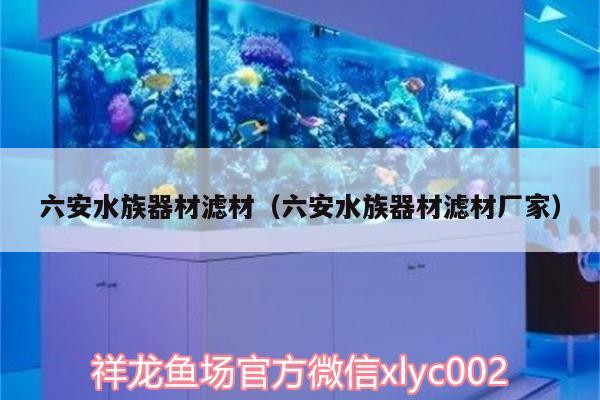 六安水族器材濾材（六安水族器材濾材廠家）