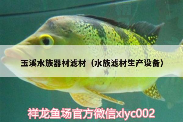 玉溪水族器材濾材（水族濾材生產(chǎn)設(shè)備） 龍魚批發(fā)