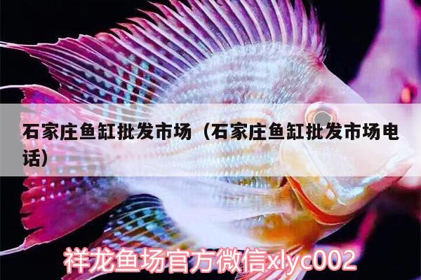 石家莊魚缸批發(fā)市場（石家莊魚缸批發(fā)市場電話）