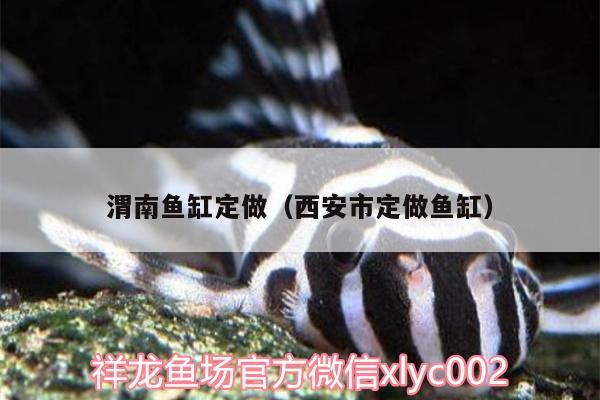 渭南魚缸定做（西安市定做魚缸）