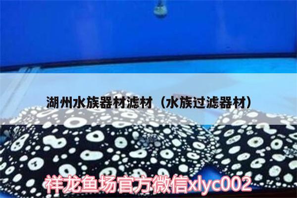 湖州水族器材濾材（水族過濾器材） 潛水泵