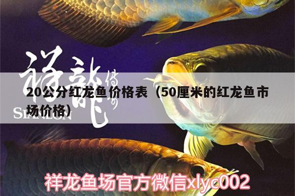 20公分紅龍魚價格表（50厘米的紅龍魚市場價格）