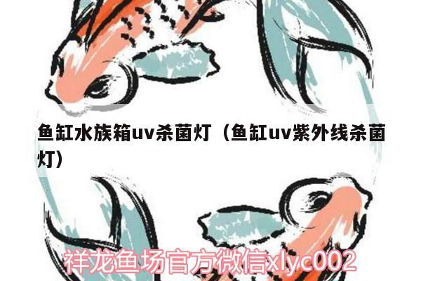 魚缸水族箱uv殺菌燈（魚缸uv紫外線殺菌燈） 魚缸/水族箱