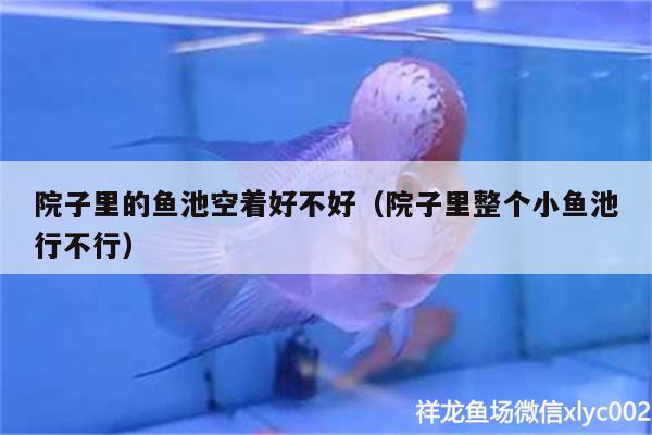 院子里的魚池空著好不好（院子里整個小魚池行不行）