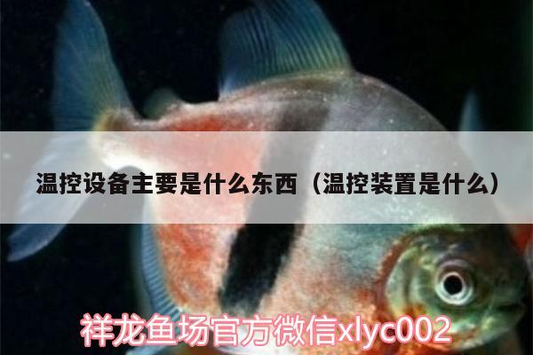 溫控設(shè)備主要是什么東西（溫控裝置是什么） 水族用品