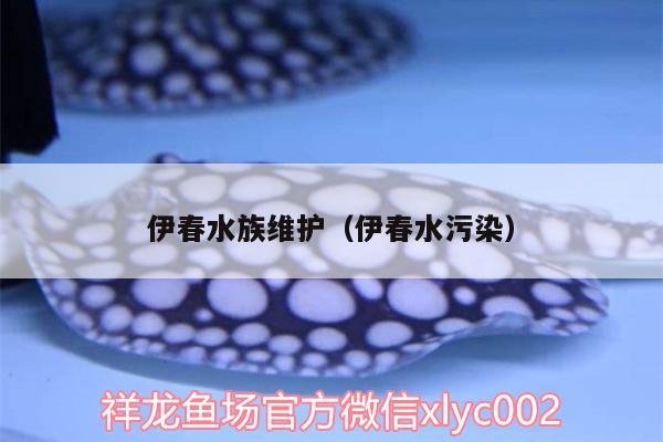 伊春水族維護(hù)（伊春水污染）