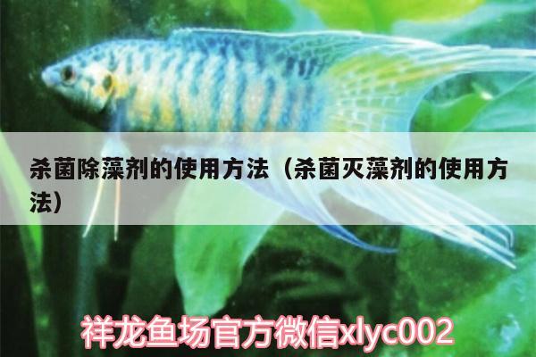 殺菌除藻劑的使用方法（殺菌滅藻劑的使用方法） 銀龍魚百科