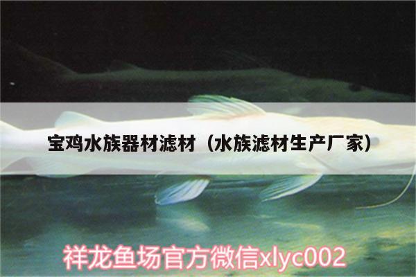 寶雞水族器材濾材（水族濾材生產(chǎn)廠家） 龍魚批發(fā)