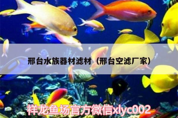 邢臺水族器材濾材（邢臺空濾廠家） 肺魚