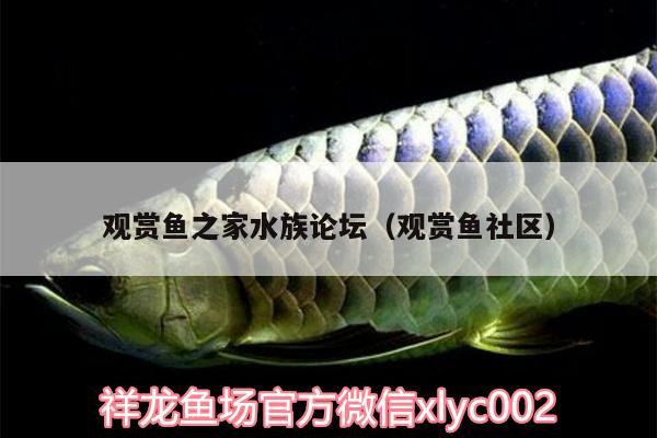 觀賞魚之家水族論壇（觀賞魚社區(qū)） 祥龍龍魚魚糧