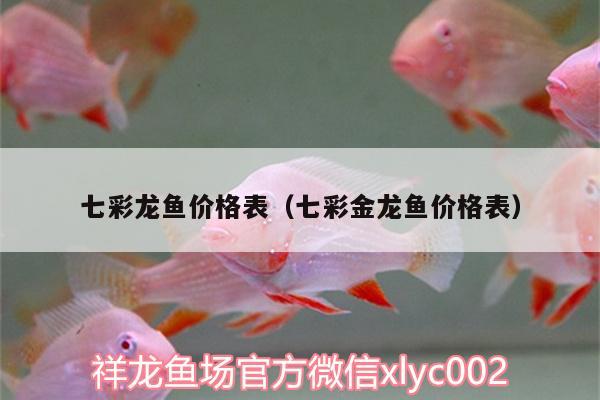 七彩龍魚價格表（七彩金龍魚價格表）