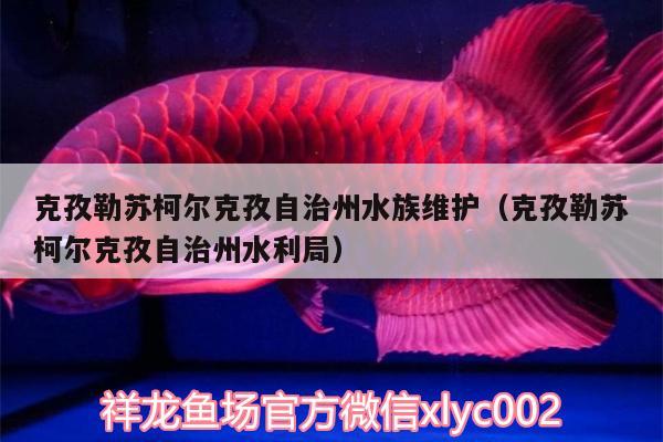 克孜勒蘇柯爾克孜自治州水族維護(hù)（克孜勒蘇柯爾克孜自治州水利局）