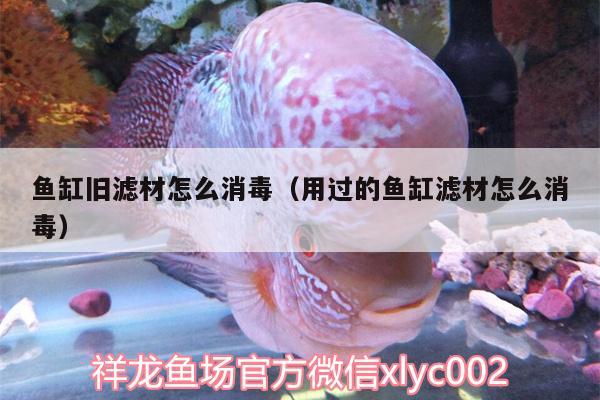 魚缸舊濾材怎么消毒（用過的魚缸濾材怎么消毒）