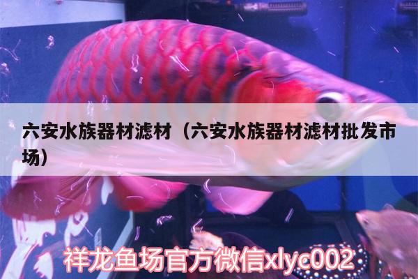 六安水族器材濾材（六安水族器材濾材批發(fā)市場(chǎng)） 廣州水族器材濾材批發(fā)市場(chǎng)