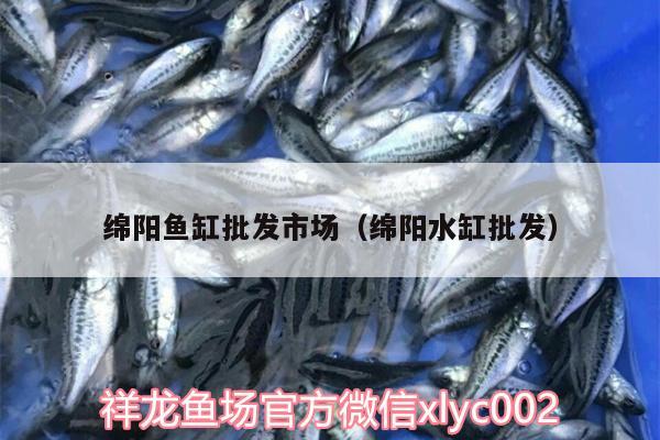 綿陽魚缸批發(fā)市場（綿陽水缸批發(fā)）