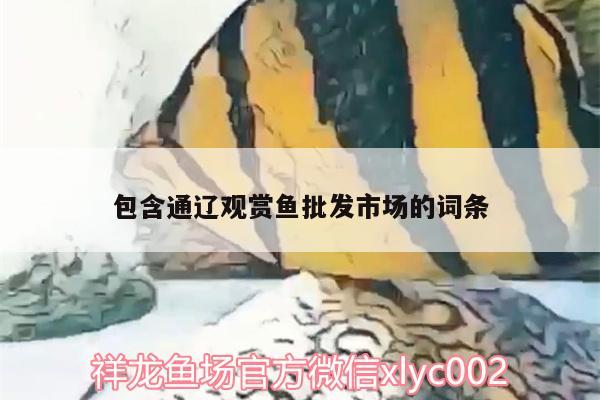 包含通遼觀賞魚批發(fā)市場的詞條