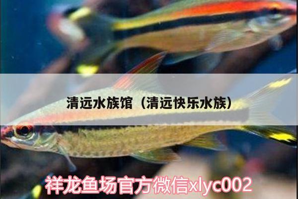 清遠(yuǎn)水族館（清遠(yuǎn)快樂水族）