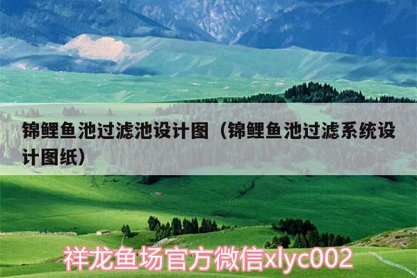 錦鯉魚池過濾池設計圖（錦鯉魚池過濾系統(tǒng)設計圖紙） 蘇虎苗（蘇門答臘虎魚苗）