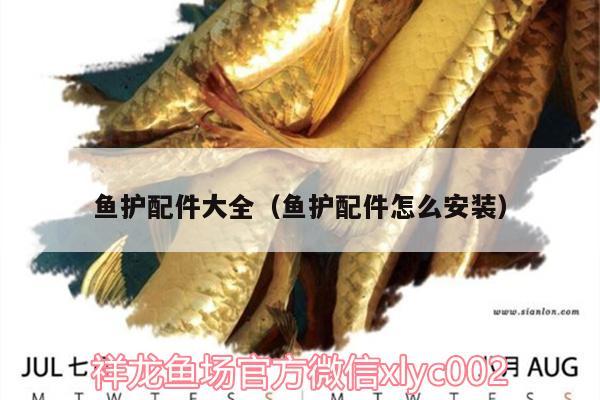 魚護配件大全（魚護配件怎么安裝） 祥龍金禾金龍魚