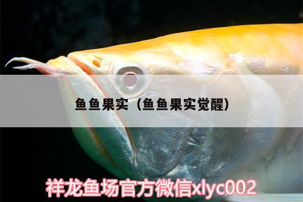 魚魚果實（魚魚果實覺醒） 雙線側(cè)魚