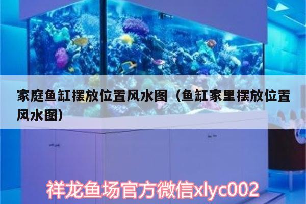 家庭魚缸擺放位置風水圖（魚缸家里擺放位置風水圖） 魚缸風水