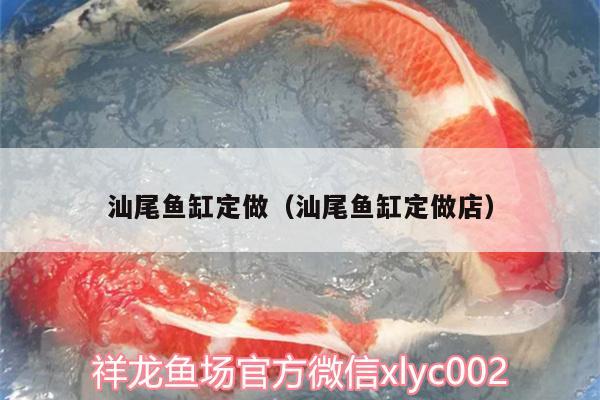 汕尾魚缸定做（汕尾魚缸定做店）