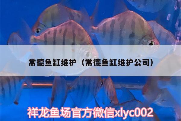 常德魚缸維護（常德魚缸維護公司） 斑馬鴨嘴魚苗